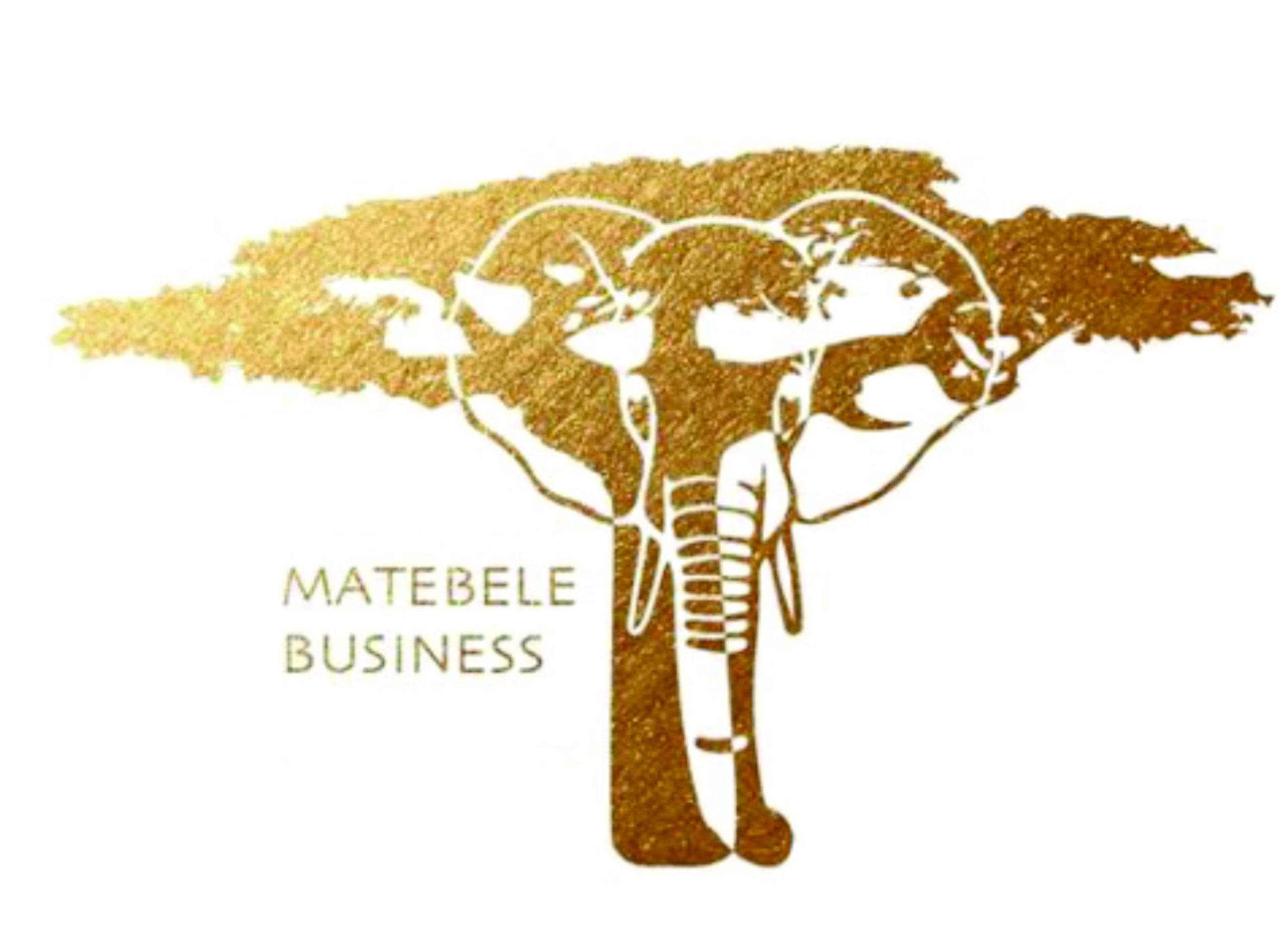 Matebele Land